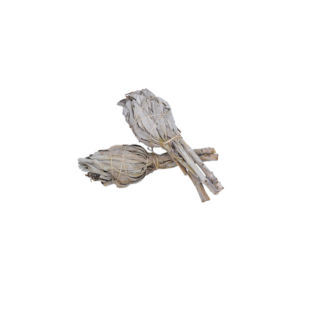 white sage bundle